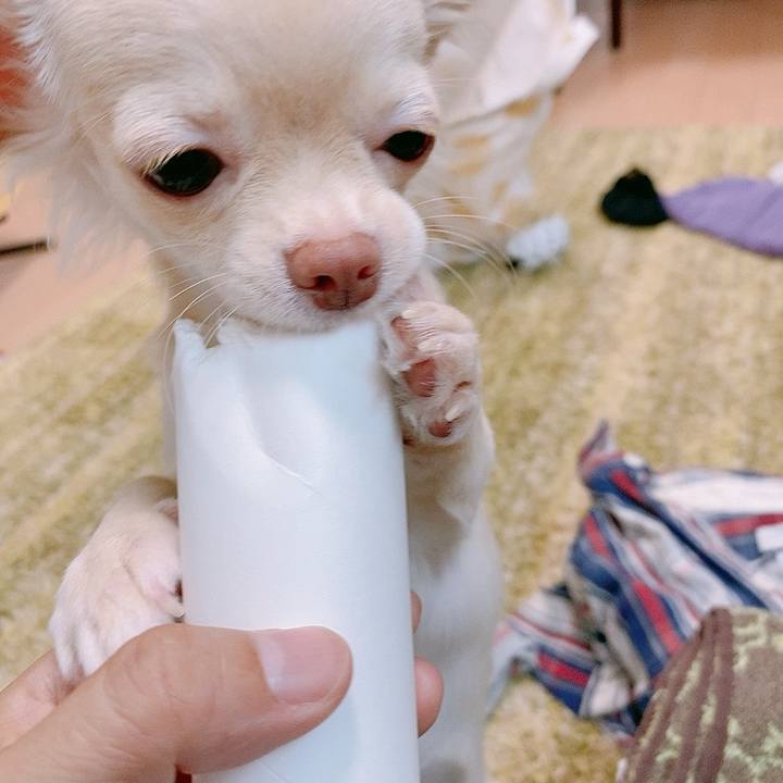 Ecb21a86 99e6 4ab4 b1f8 e04dcaf5ef18 1595044452893