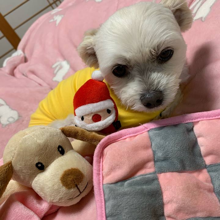 Ecb24115 bd19 4aaf a356 033f0a19b99b 1609240984607