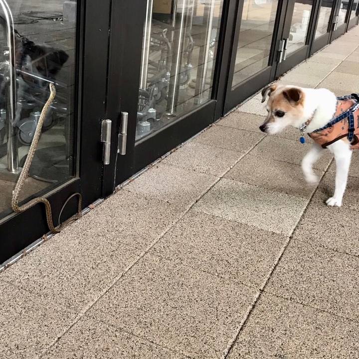 Ecb25c50 6405 45c2 8676 2bbd7a750272 1658182237001