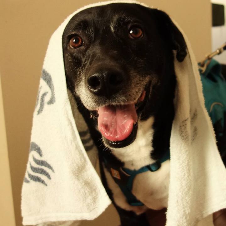 Ecb2bfa7 d159 4985 aa79 534ed2c476f6 1714043688876