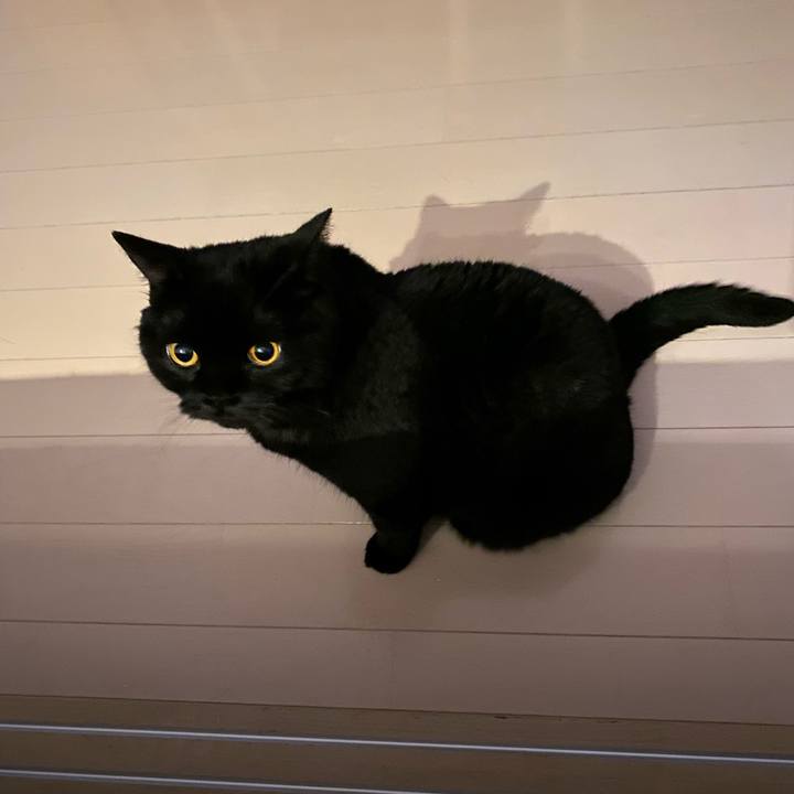 Ecb2da79 b5c4 4bd4 ace5 5a457413089f 1721480529145