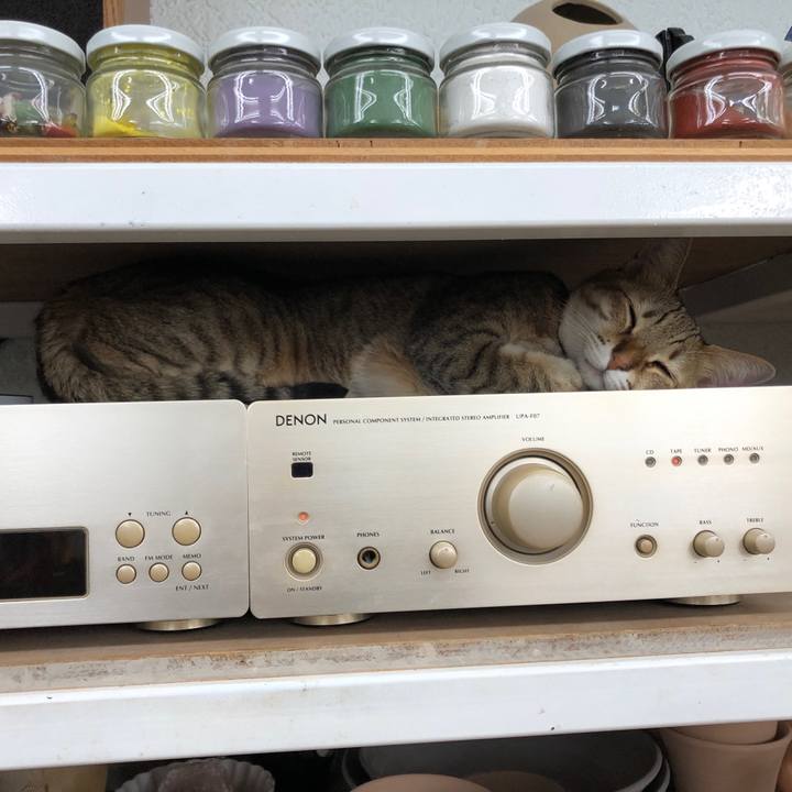 Ecb2ee9b c952 42e6 9fdd b65d0fcf9f91 1645201713489