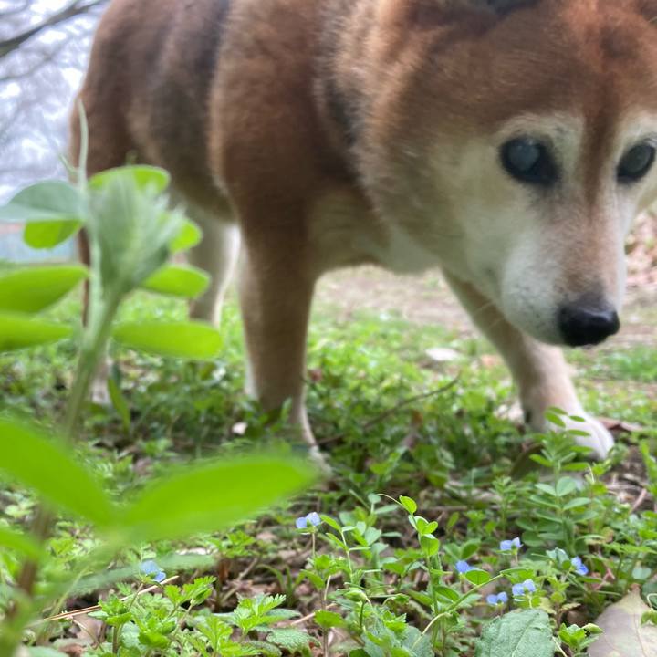 Ecb2f126 072e 4550 9b45 3846473ae964 1679018123261