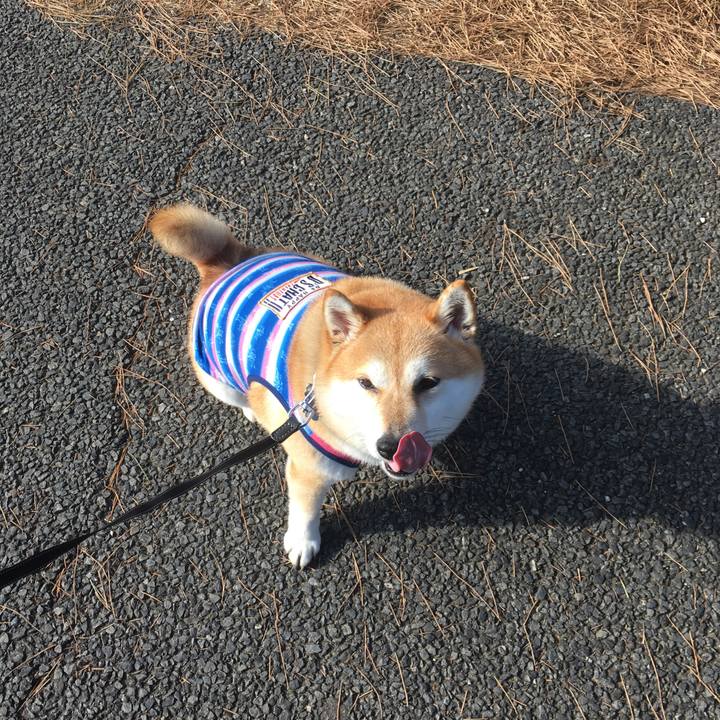 Ecb3069c a98f 40f7 bf70 6a3523e410b0 1548490614523