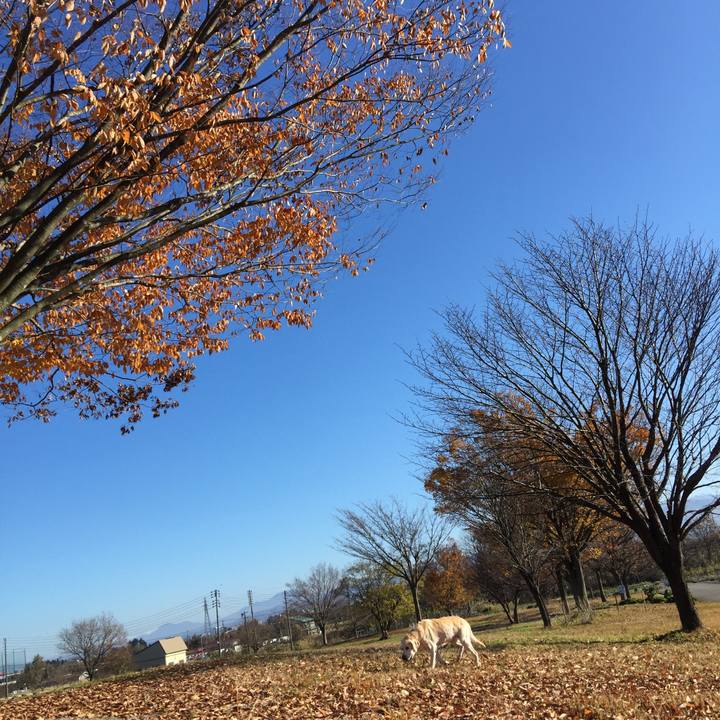 Ecb30b4a c1f3 4a1a 9517 2f87736974a9 1572563102810