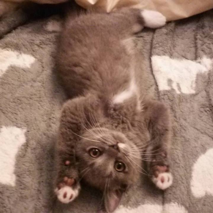 Ecb30b6c 1b96 48b8 8e85 a36b982c261e 1617367584199