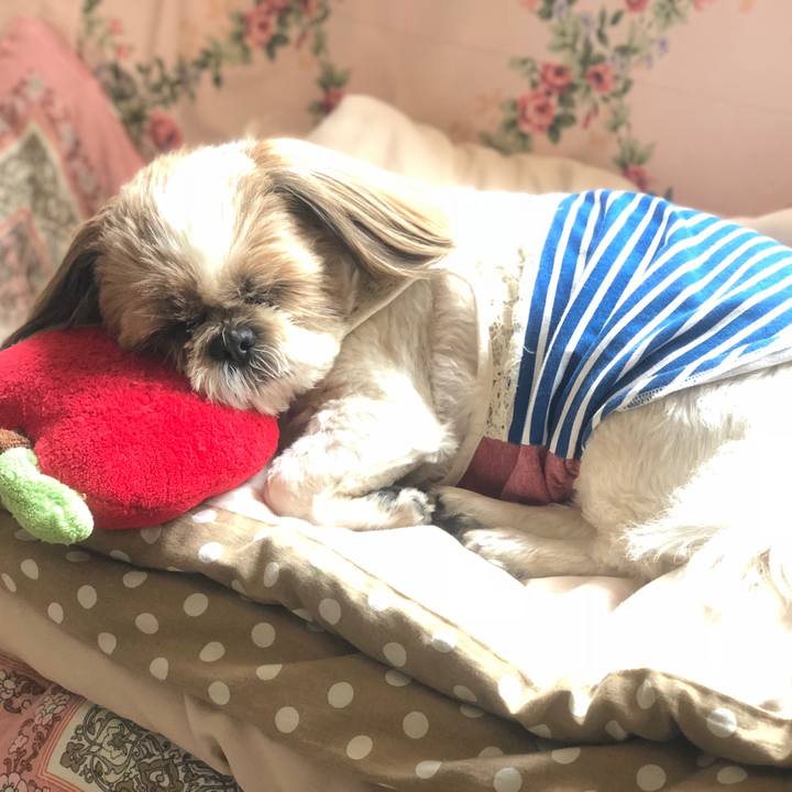 Ecb3281a cf06 4de4 8fe2 359de99f35ac 1524965132441