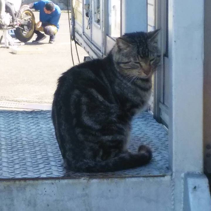 Ecb32d44 df41 40d1 9f81 319005dad806 1619750586650