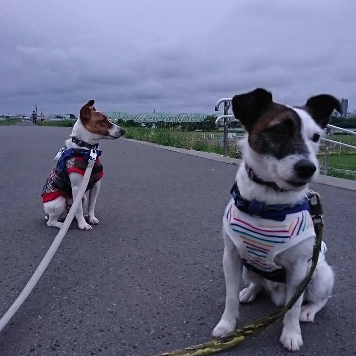 Ecb338be ba8a 4c3e 872f e8f1bbc8b857 1529153588108