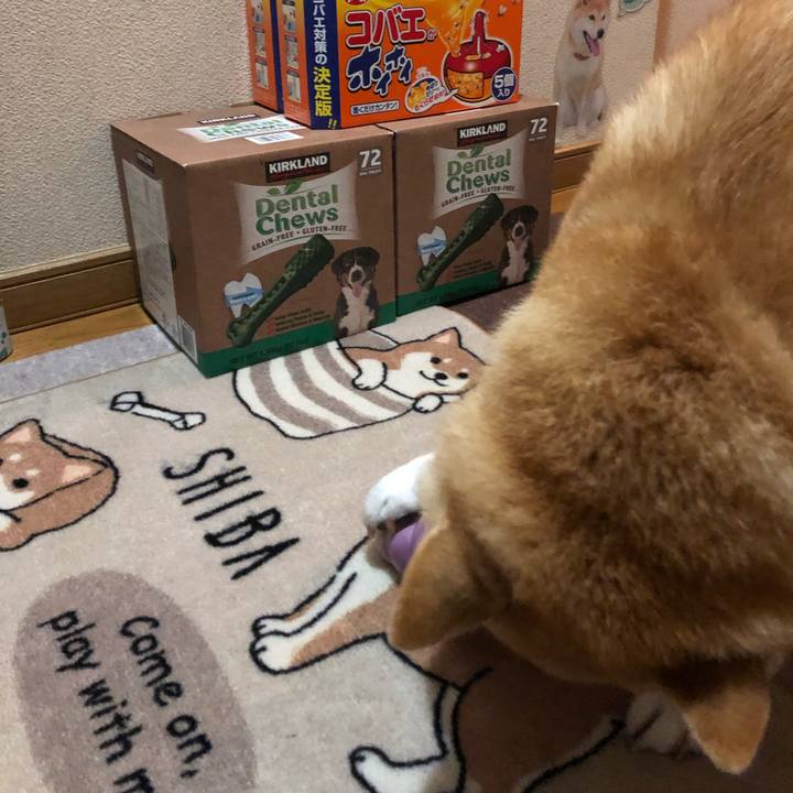 Ecb35f1c 5777 4a5f 8acd 614713c42a8e 1564111184257