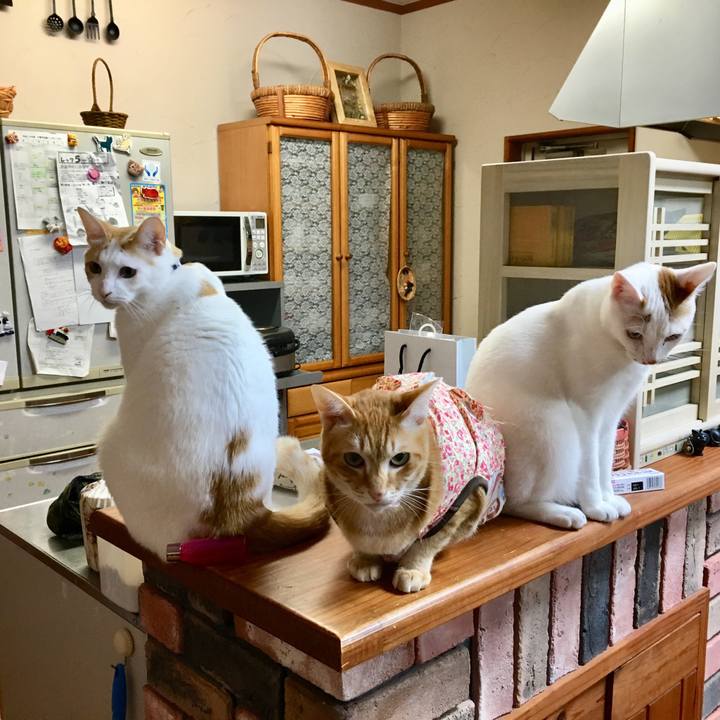 Ecb35fc0 7667 4ed4 b2cf f355e0429882 1518670011181