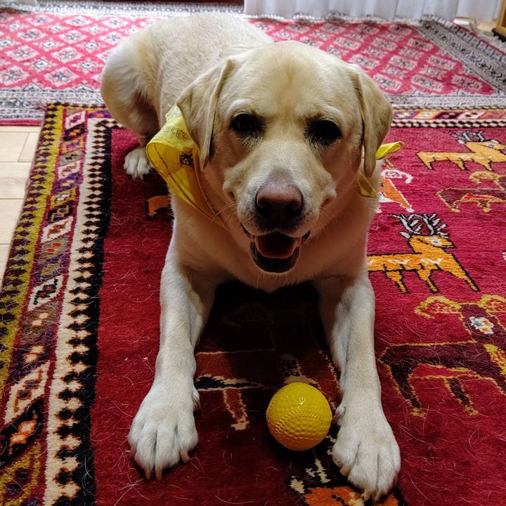 Ecb36ea6 805c 4264 bfad 1c5915317059 1602897317648