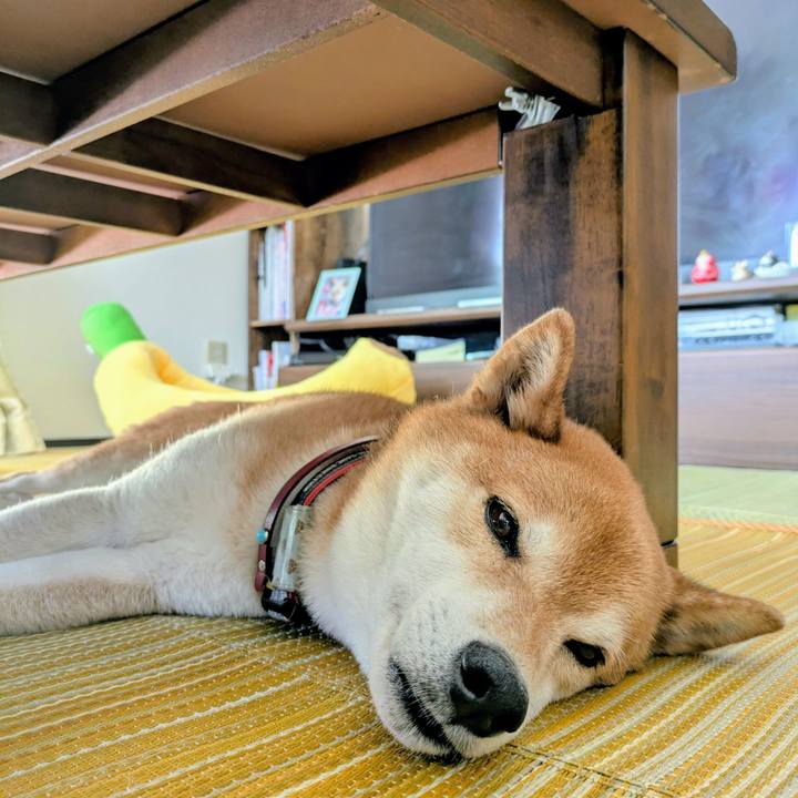 Ecb3921e 4831 4cb9 909c 624d61183012 1749276949302