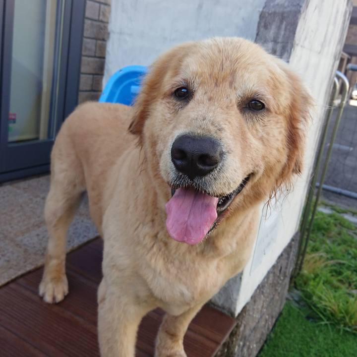 Ecb39b85 b875 4fa9 a2a1 b16539e159d3 1626690805854