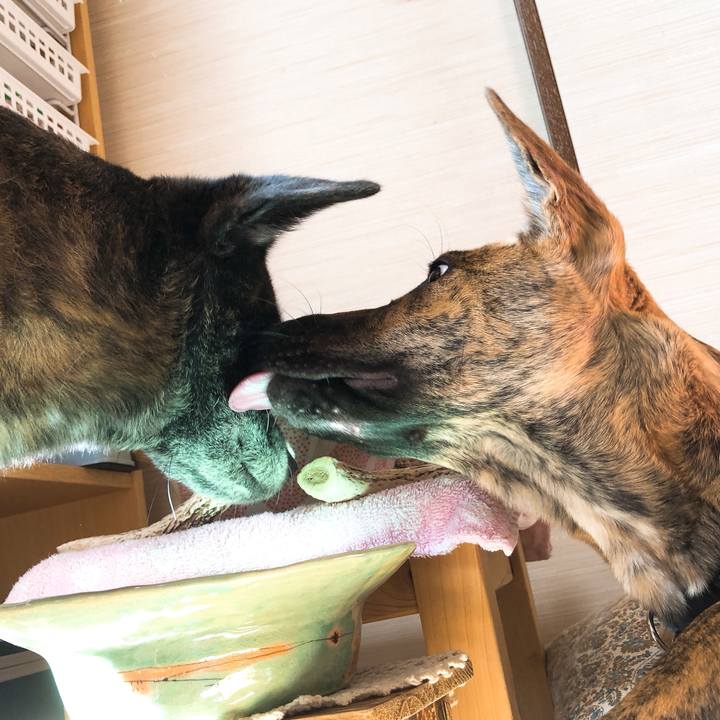 Ecb39c97 56b6 4bac 8f70 c2f7b93b3e7e 1577077553659