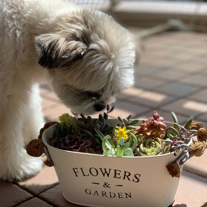 Ecb3cb2a 1aed 44c2 bddc 5b459716b3ba 1552018159810