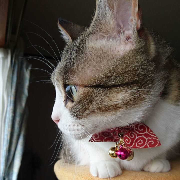 Ecb3dc8d b4c6 41dc bd73 4375e062b186 1527036382432