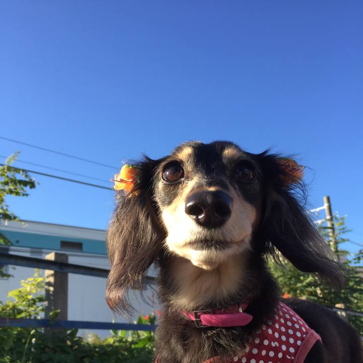 Ecb3f62b 4c78 4253 8c72 93aa36ec4d3e 1542670983009