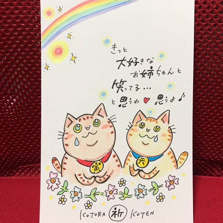 Ecb3fa06 fd56 4d55 a539 83f92aaf389b 1555524756814