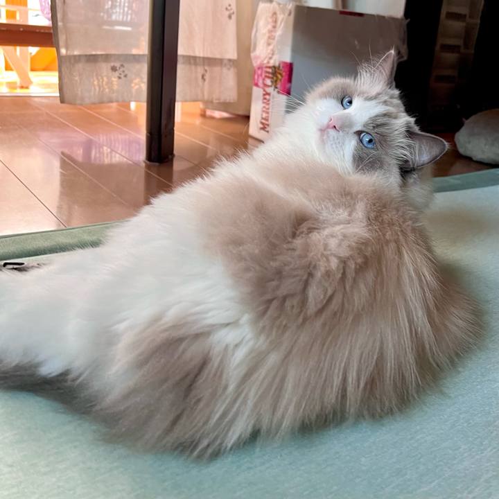 Ecb43b68 91cd 4c26 b451 1e3fe60eebbf 1757963318011