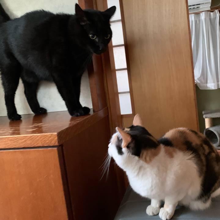 Ecb45deb 6529 49e0 8305 608893990cdd 1603931465088