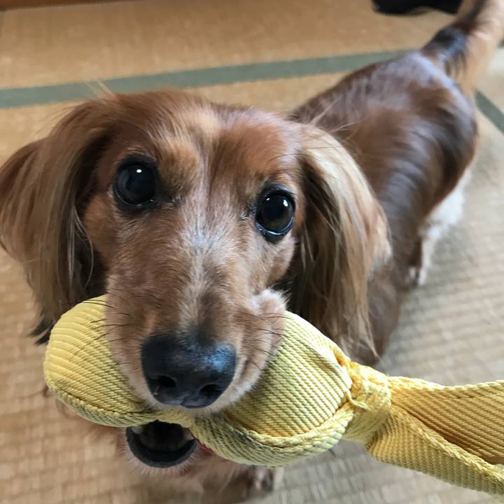 Ecb473ff f2fc 4de1 9772 0c1d449198f0 1539915240934