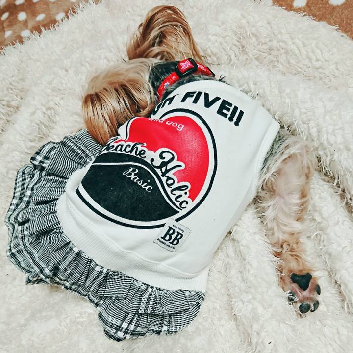 Ecb4754a 5912 480b 8c94 6cb82a142981 1518618562429