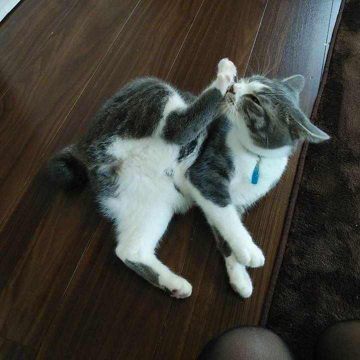 Ecb476b0 bccc 407f b891 2085c5fc0c32 1576366748651