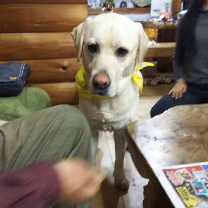 Ecb4aa8b b005 4bd5 9913 c78b1f22dc1f 1517656557449