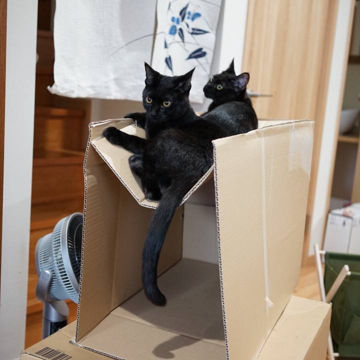 Ecb4b518 77df 474c 917f 850a411aad3e 1511910338103