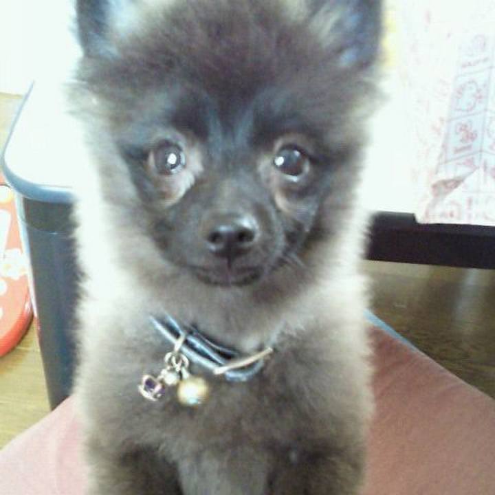 Ecb4bff6 698c 4b14 8dff 39a5822f257a 1516830977464