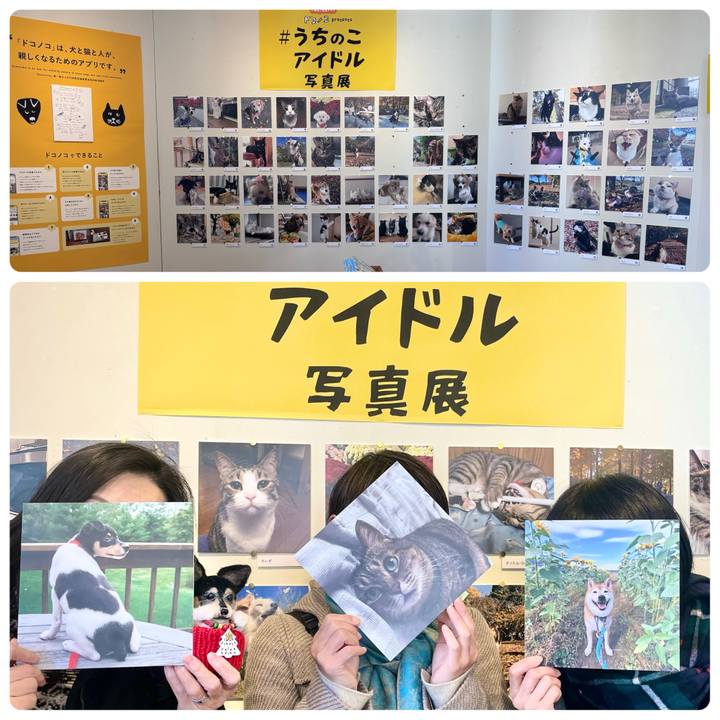 Ecb50a3e 7dc5 4a47 b705 01231afeb855 1765611845191