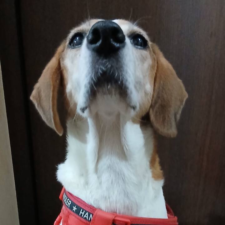 Ecb52061 8c19 4bdd 98ae abccd0b7a6f9 1759567080553