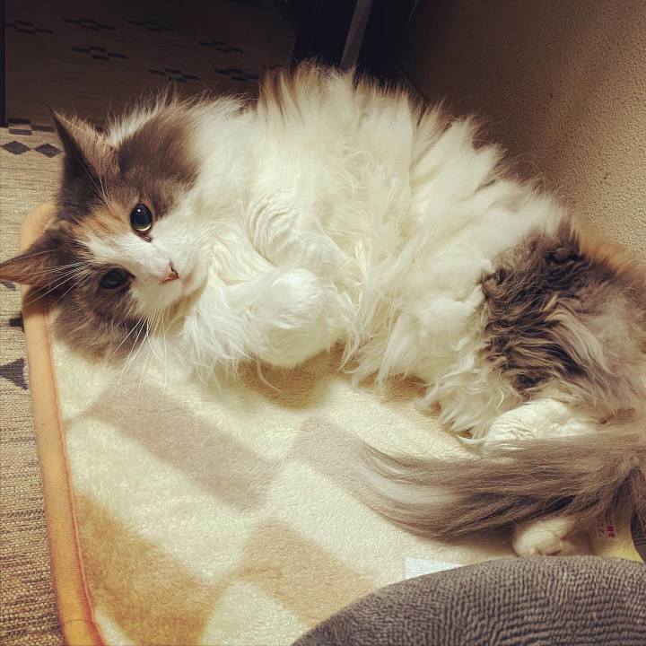 Ecb545ae deb6 44d9 be42 a49b56237037 1670673461268