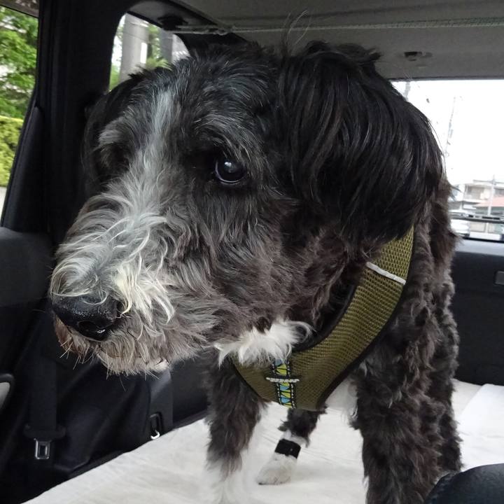 Ecb5579d 6ed0 46f5 ac9b c5f55f8fbeb4 1509928110934