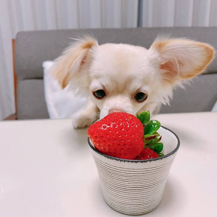 Ecb5a07e 0638 45a2 8c1d a7a601a9b638 1611959644853