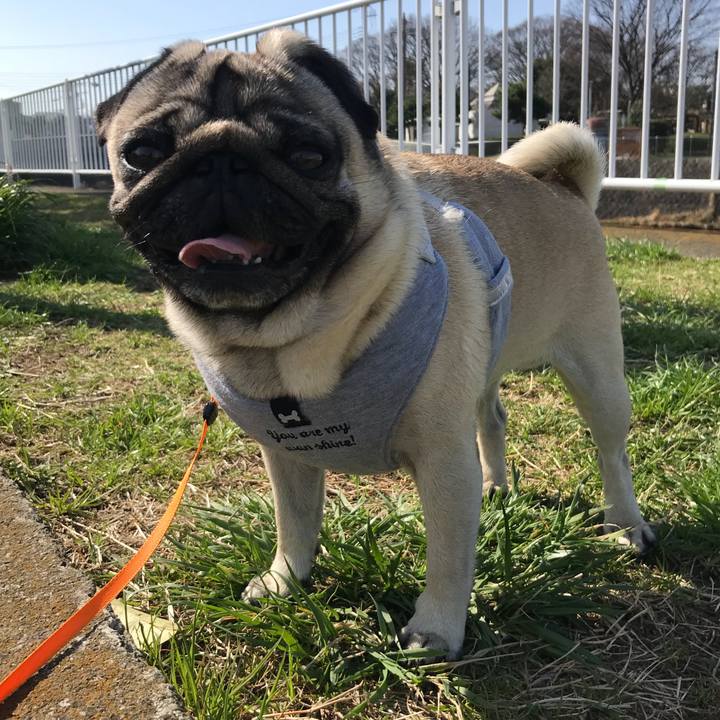 Ecb63245 0fb8 41c1 a844 62f960307eda 1520739930572