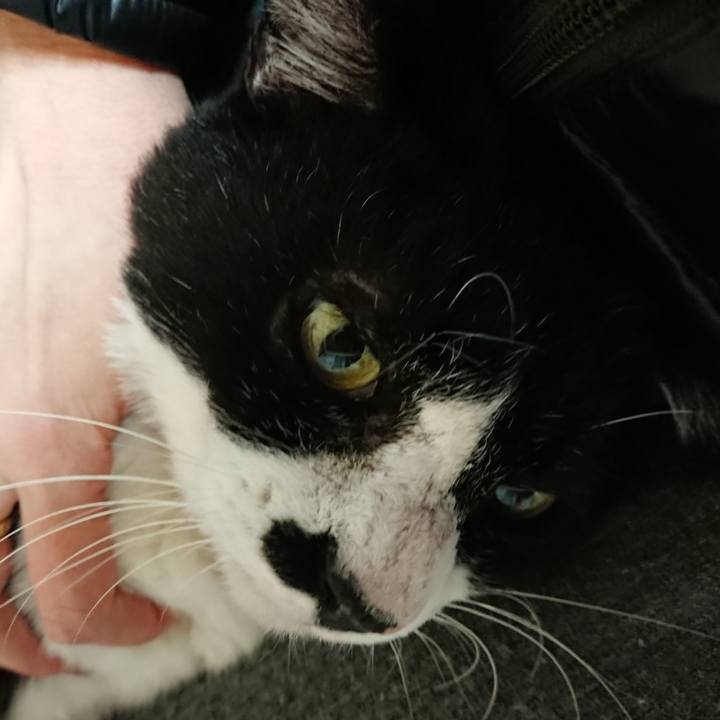 Ecb64bb1 561f 4960 904f 39e73c514ab2 1580386665256