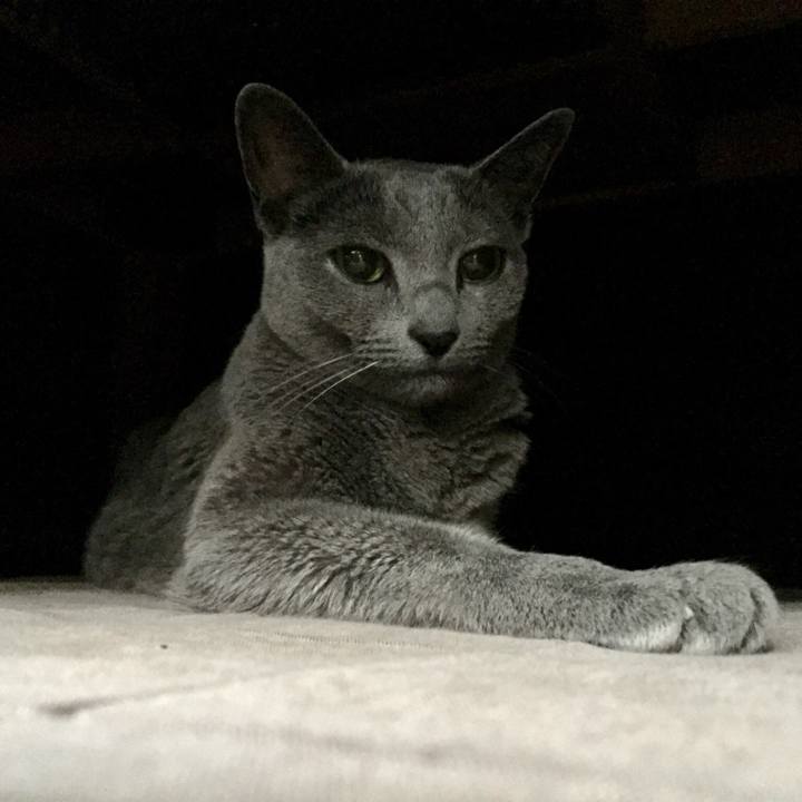 Ecb64d33 0e95 41d4 8a53 1195346d0dd7 1543383188060