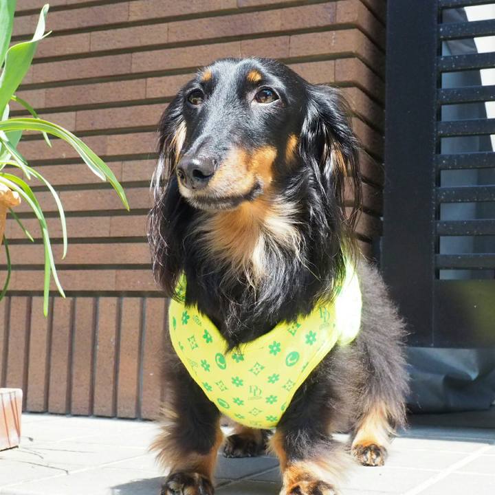 Ecb66048 d567 49bd ab9b 25e0633382e9 1524274353054