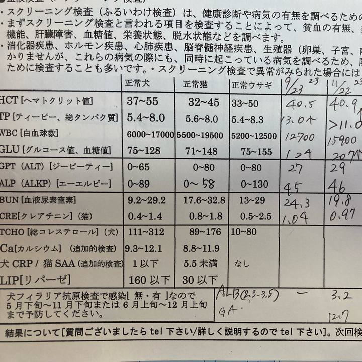 Ecb666f4 ab6e 40d9 95ec 5f470dcbd8ad 1703149520693