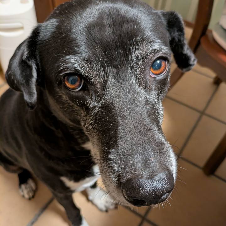 Ecb6a441 1218 4ea5 9444 26463c2b383e 1767917889961