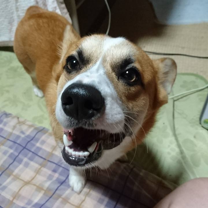 Ecb6c8be 8034 4b07 8636 3d7ea331e736 1573382295091