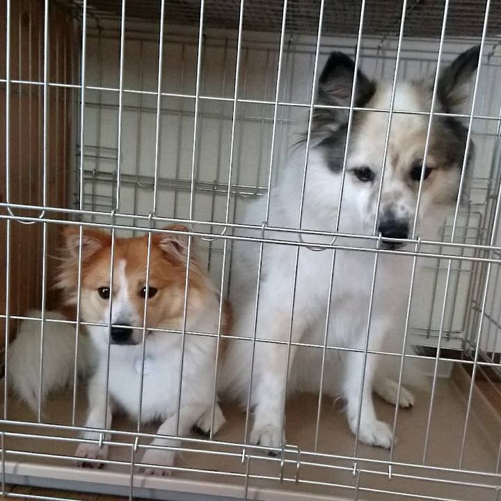 Ecb737ec 008d 441c a428 57469b0ec792 1536762947653