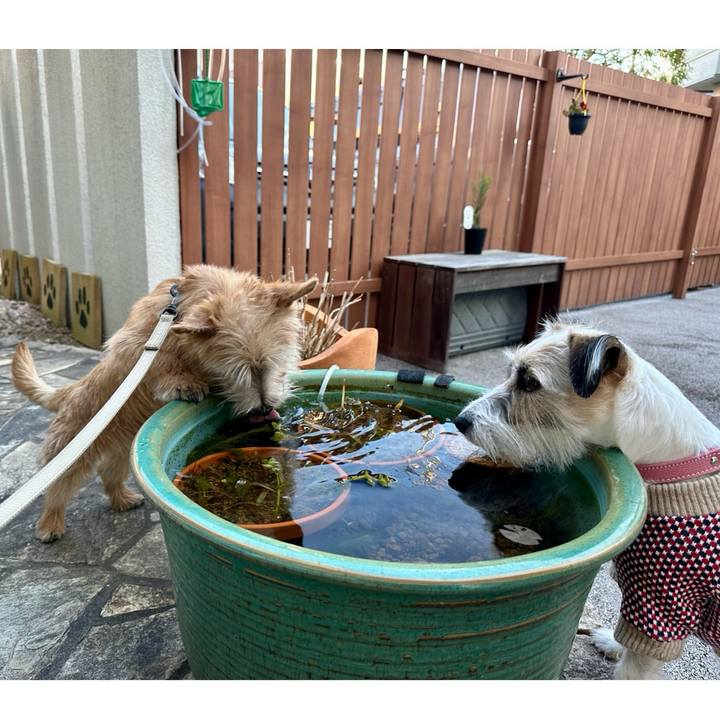 Ecb73d6a 55e1 4fb0 846b 75bdcfbef0b7 1707743811542