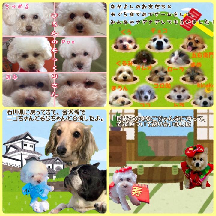 Ecb79a28 1613 40f0 bfbe 8e268295d53a 1532592838892