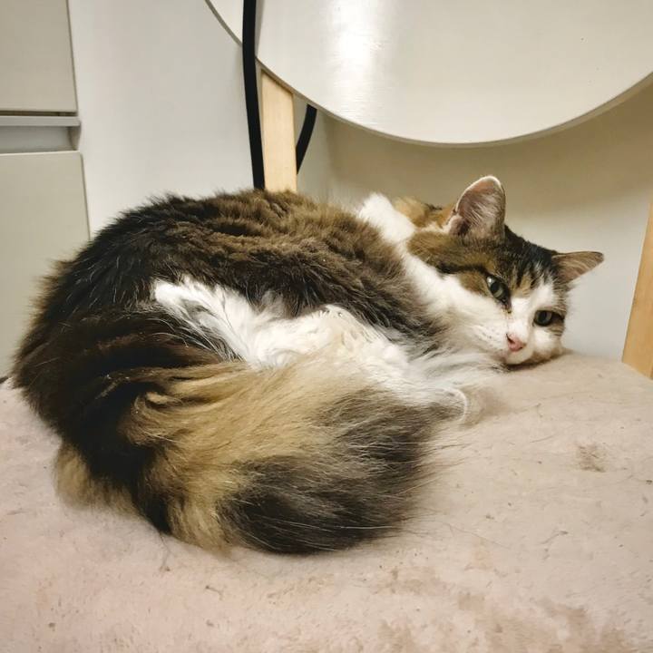 Ecb7f137 ce01 4cce a115 585be6b8db09 1630250362889