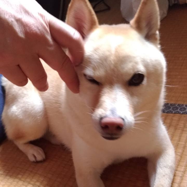 Ecb815f5 1954 4a6b 8eb2 4c58ef836842 1593386838630