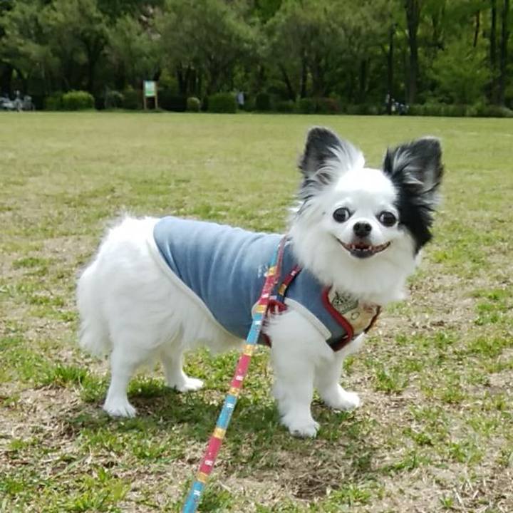 Ecb86fb5 20d2 4809 b03b 72df7ee3abe4 1619925356098