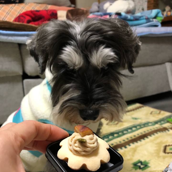 Ecb883be 282e 4ab6 a4ff 26cf40525953 1609766843115